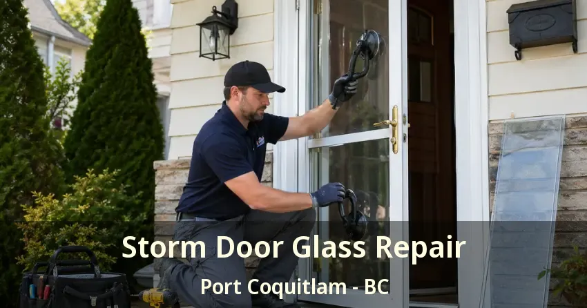 Storm Door Glass Repair Port Coquitlam - BC Storm Door Glass Repair Port Coquitlam - BC